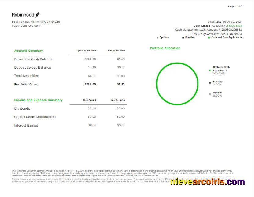 USA Robihood bank statement Word and PDF scr